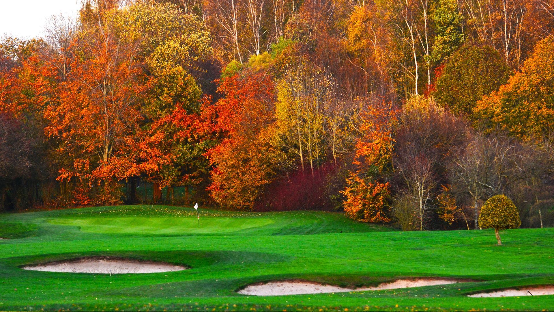 Offre Spéciale Hiver : Golf + Déjeuner à 59 €